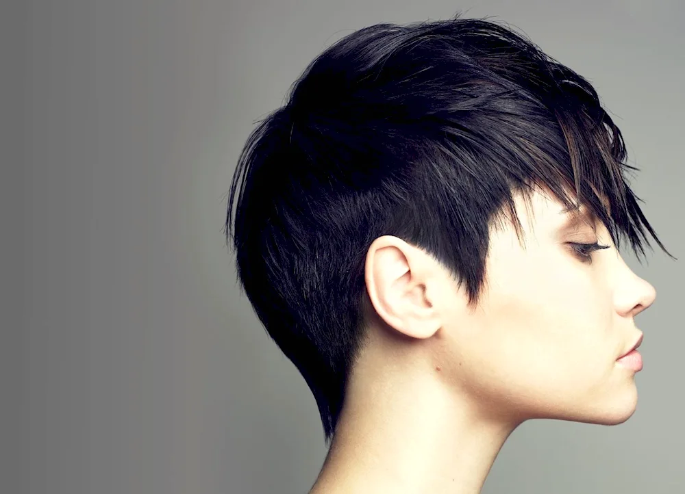 Gavroche Bob Garson Pixie haircut