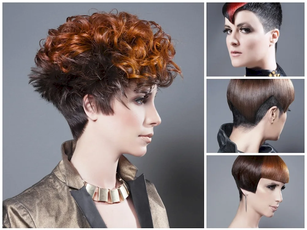 Gavroche Bob haircut for short hair Curly Bob Garson haircut for curly hair
