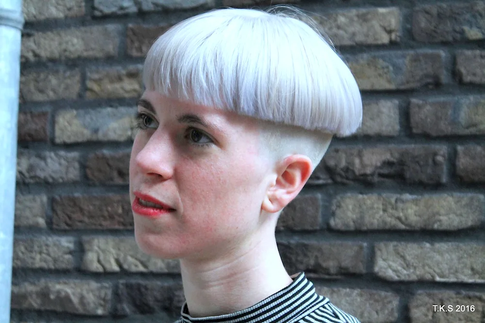 Potty haircut