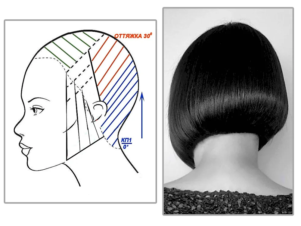 Graduated bob haircut scheme