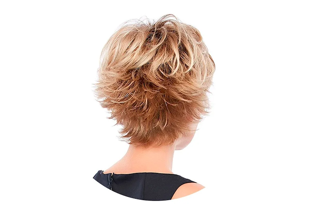 Popular haircuts