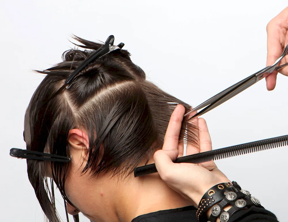 Artem Lubimov haircuts