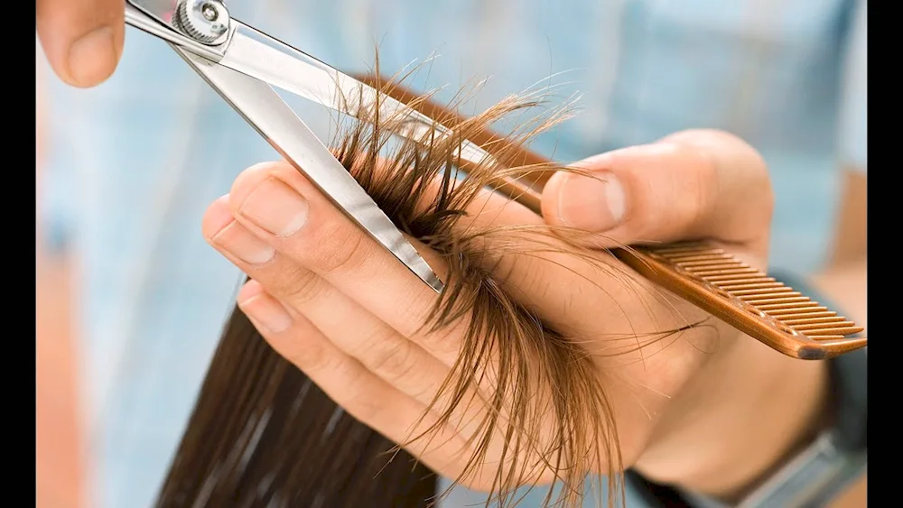 Girls Haircut