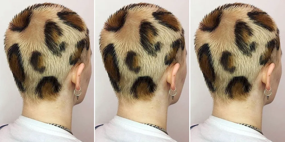 Leopard haircut for men