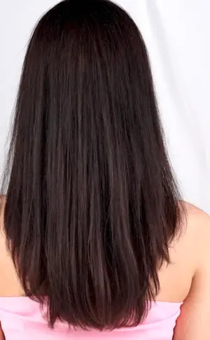 Foxtail Filigree haircut