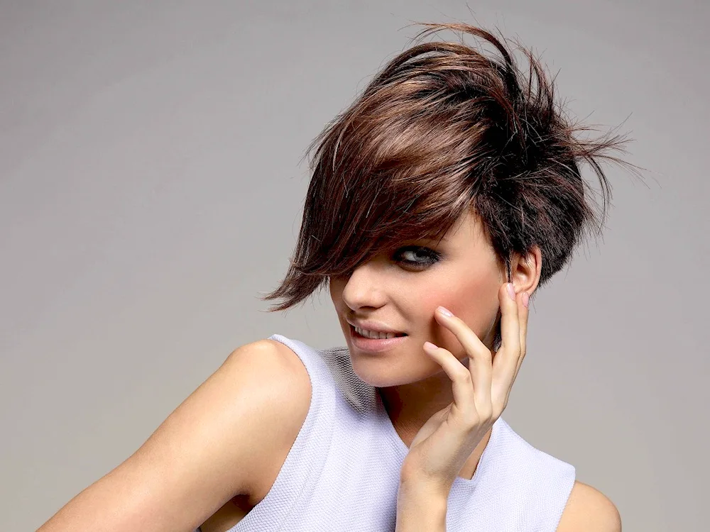 Pixie bob with asymmetry