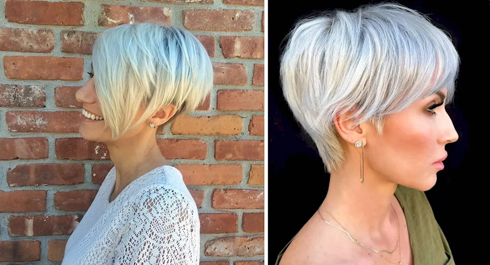 Long Pixie Bob