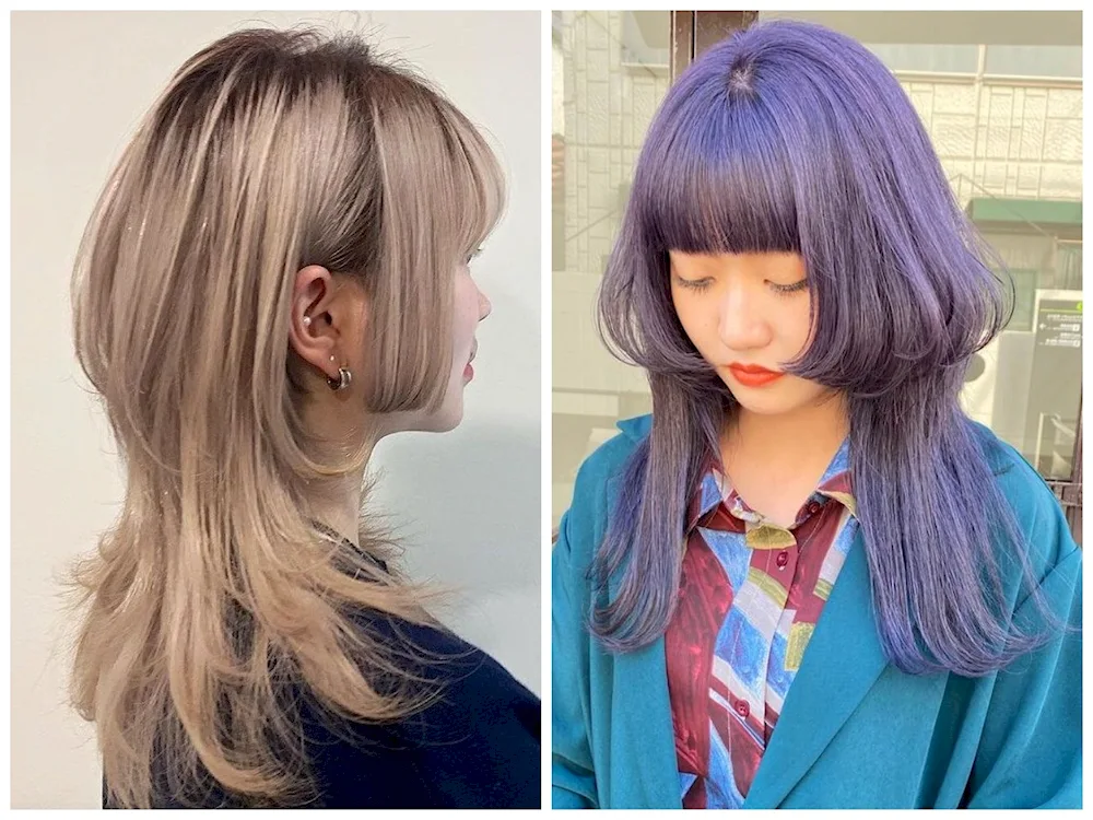 Mullet. jellyfish 2022