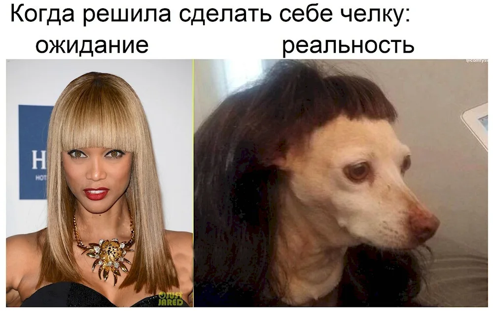 Haircut expectation reality