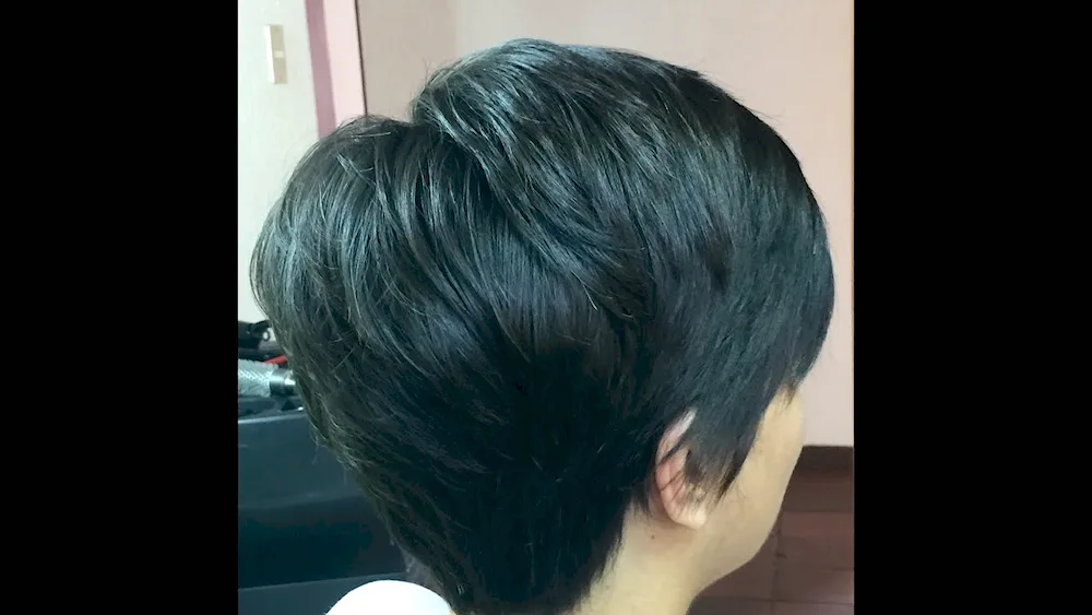 Demetrius hairdressing school Pixie cut