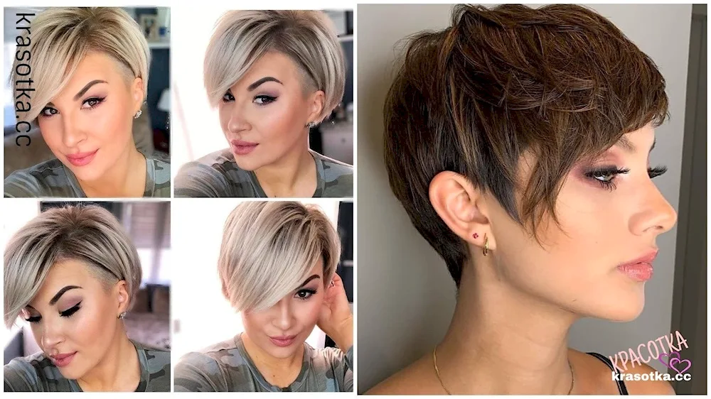 Pixie bob undercut ashy