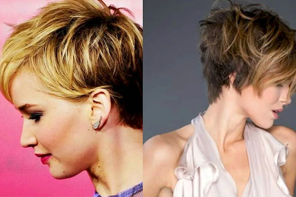 Pixie Gavroche haircut