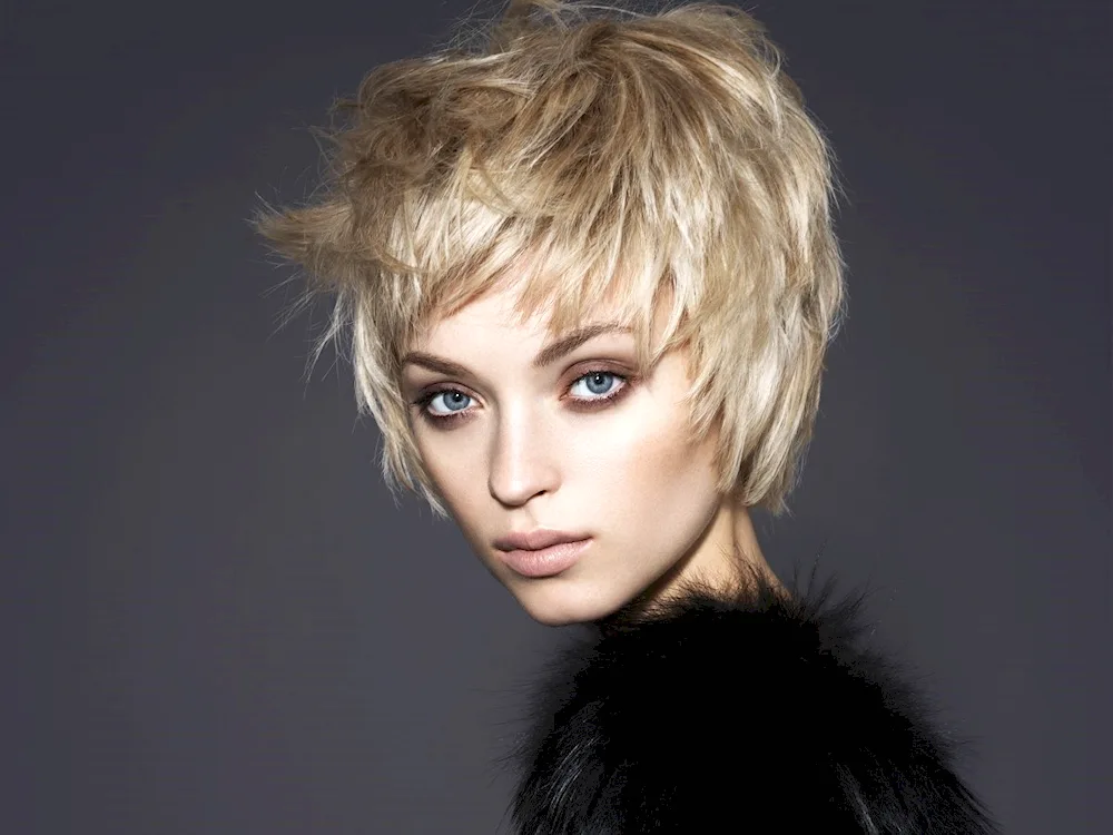 Pixie Gavroche haircut
