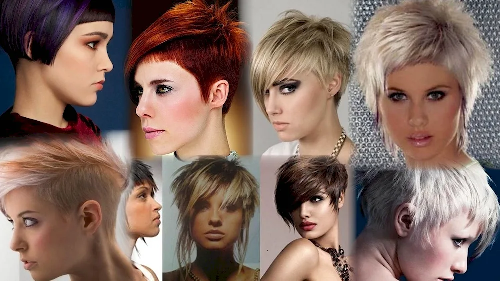 Pixie Gavroche haircut