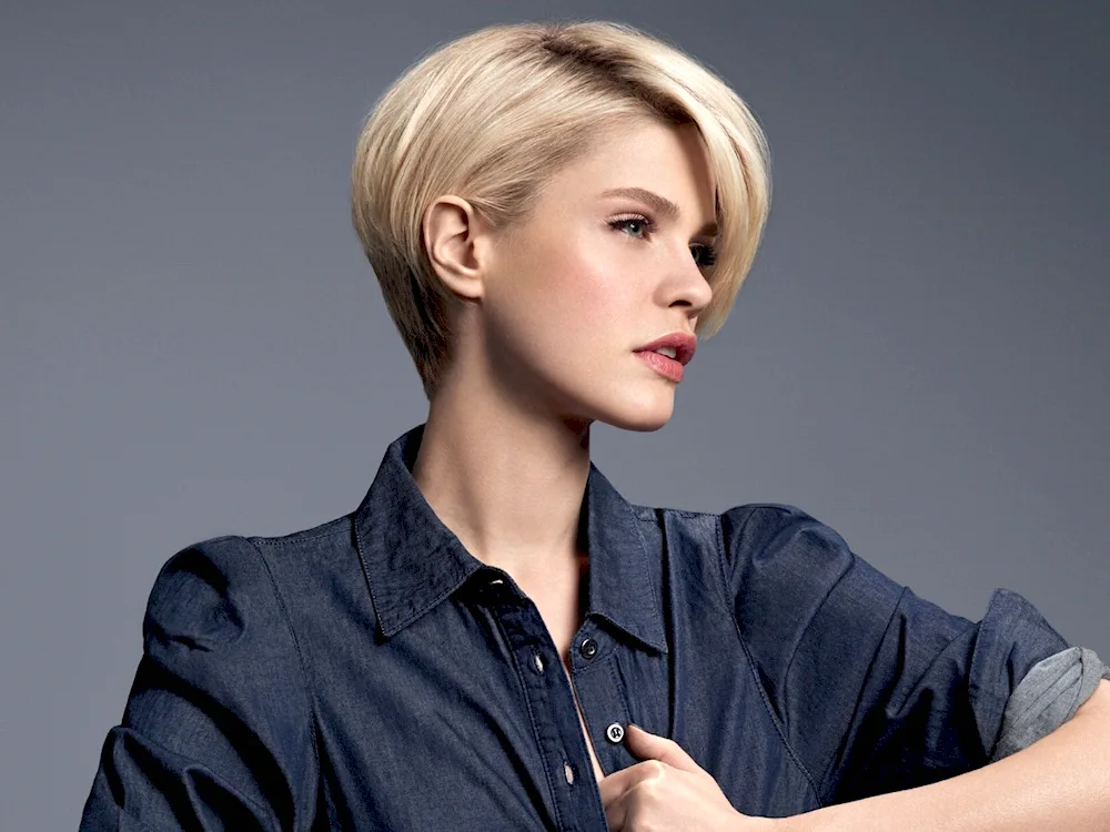 Garson Pixie Gavroche haircut