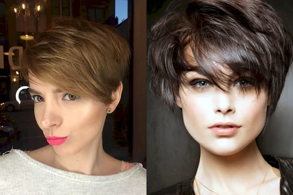 Pixie Bob ash blonde