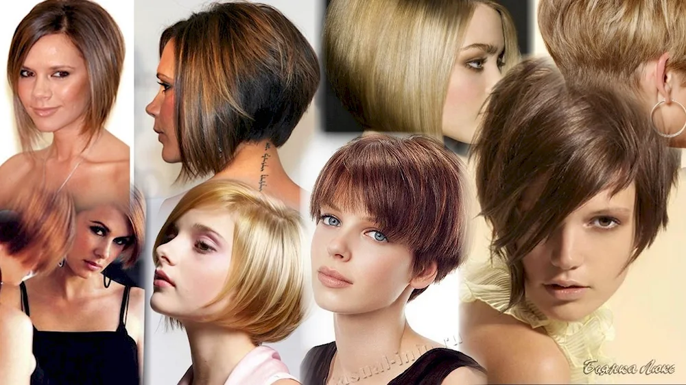 Gradirovannoe Bobo-Kare haircut for medium hair