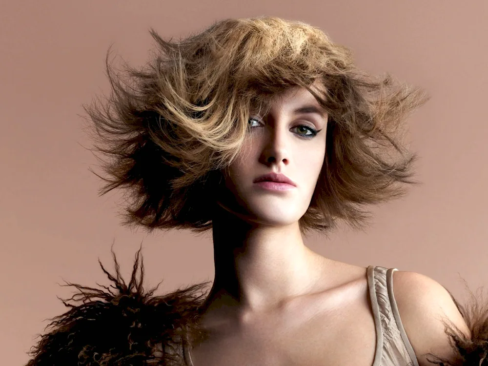 Curly hair sesson haircut