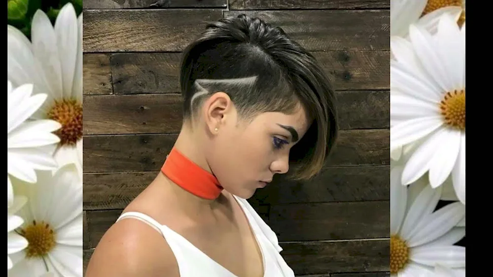 Pixie bob hairstyle with bun on top