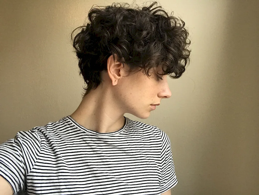 Tomboy curly haircut