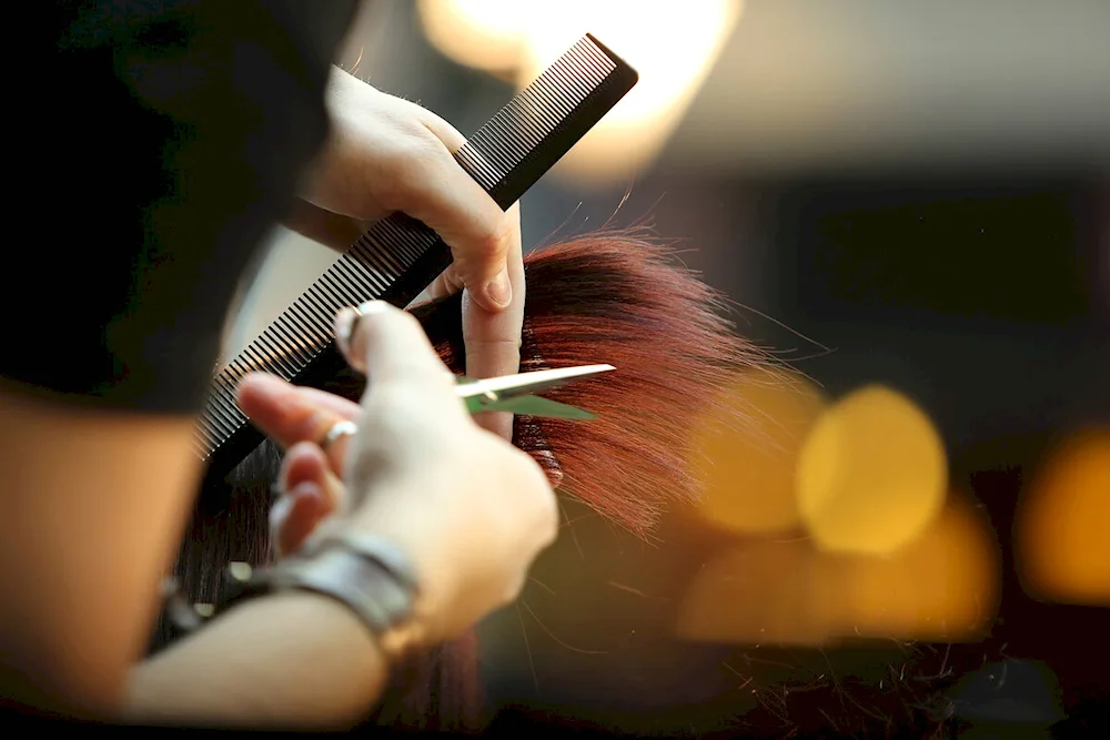 Hair Tip Haircut