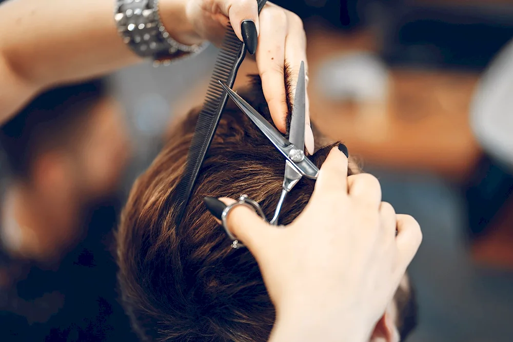 Scherzinger's Ladder Haircut