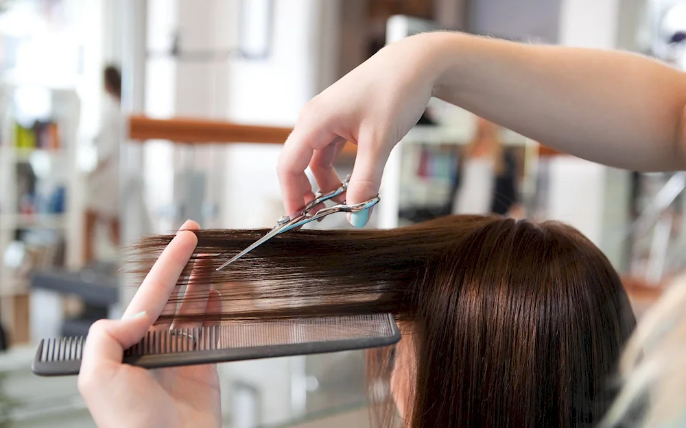 Cut your hair
