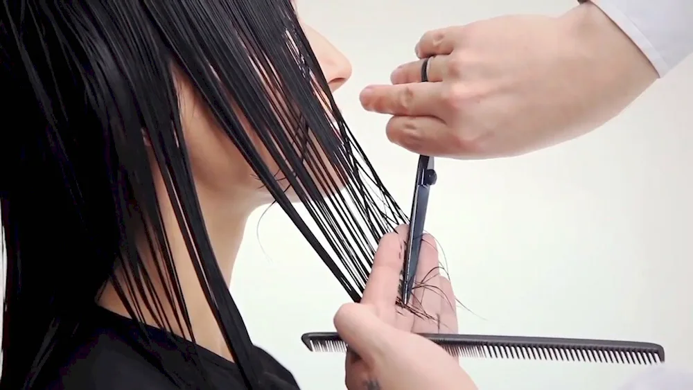 Instructional flow chart for women's bob haircut