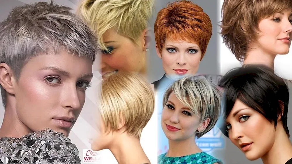 Garson Gavroche bob haircut for women