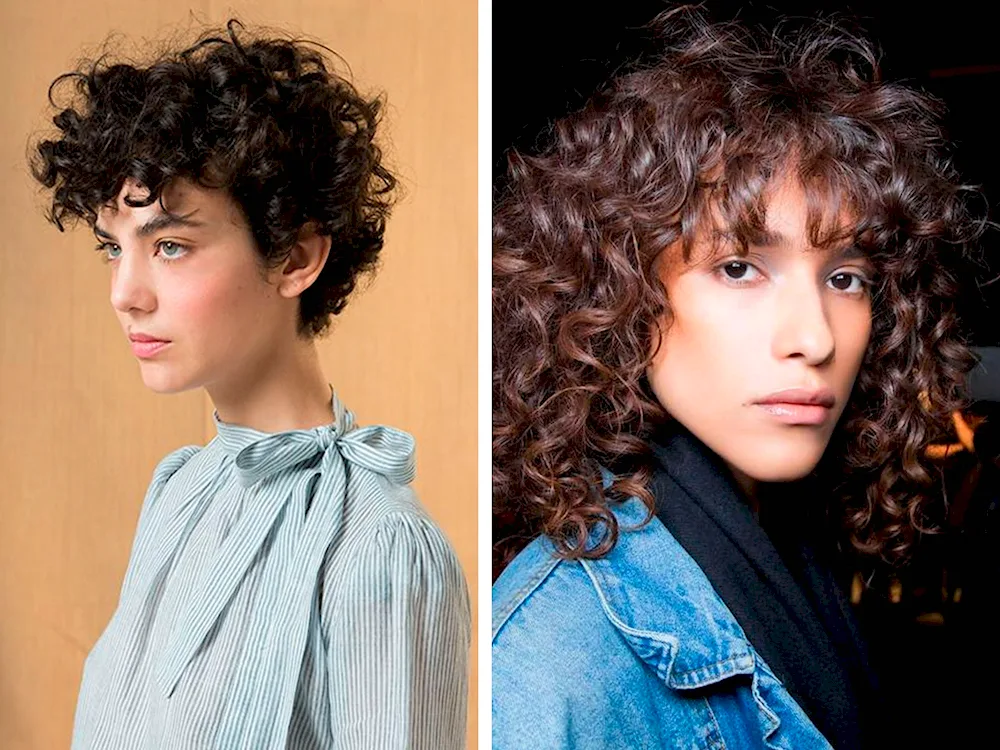 Pixie hairstyles with curls for medium hair