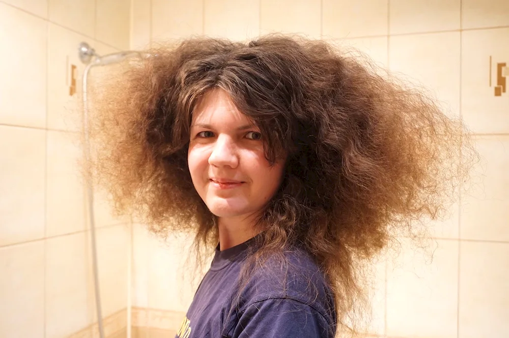 Cuts for porous frizzy hair