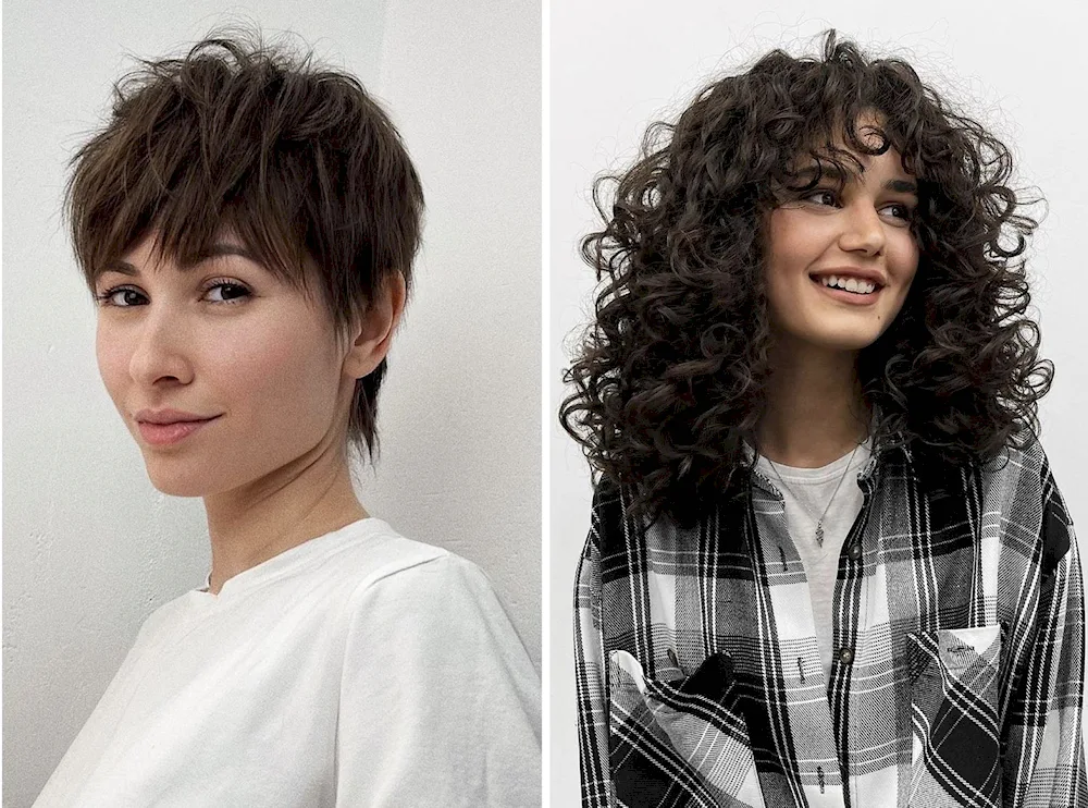 Curly Sheg