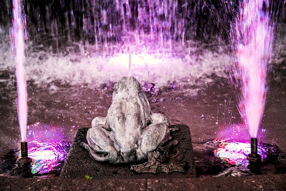 Fountains of the Fountain
