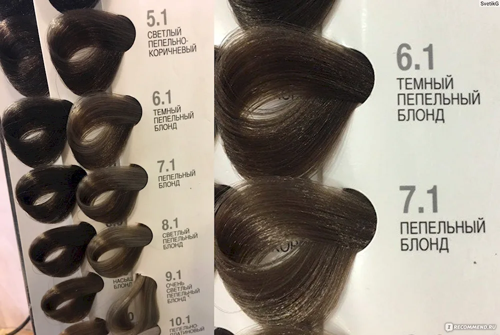 Studio Kapous dye 6. 31