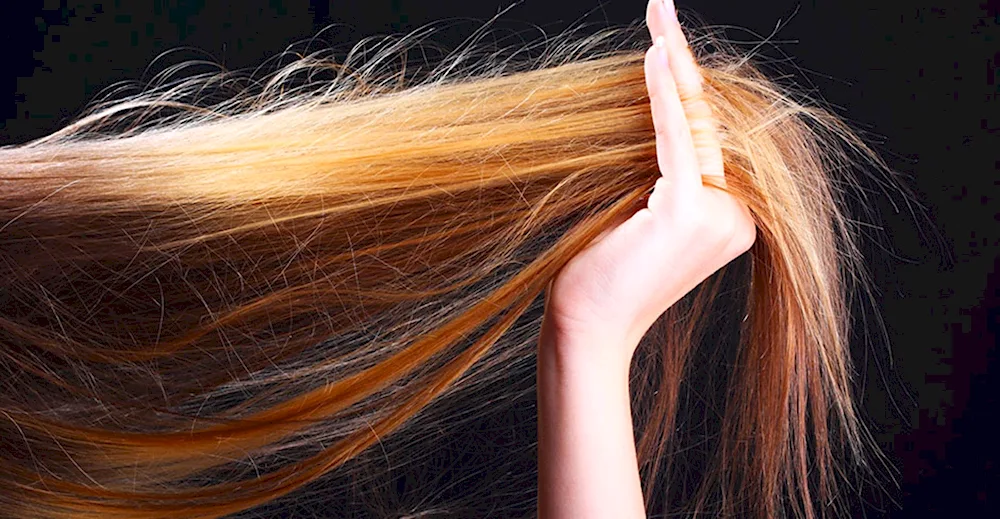 Hairdresser colours hair