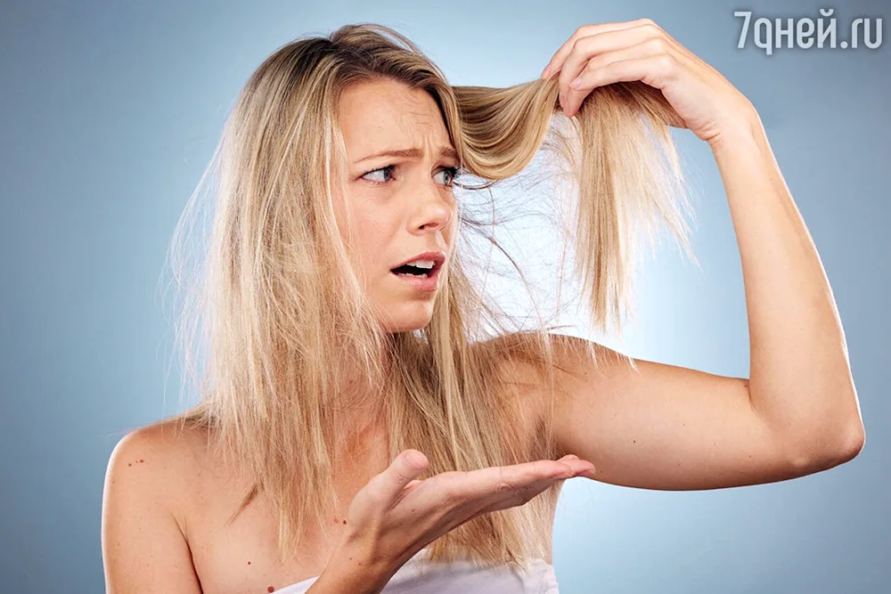 Beautiful hair in summer
