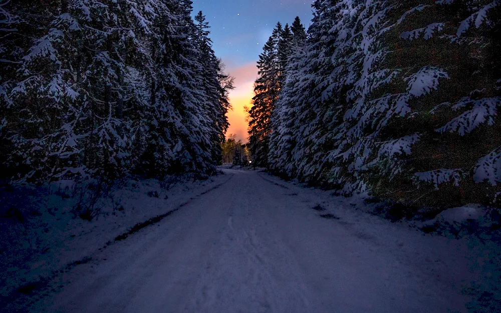 Winter twilight