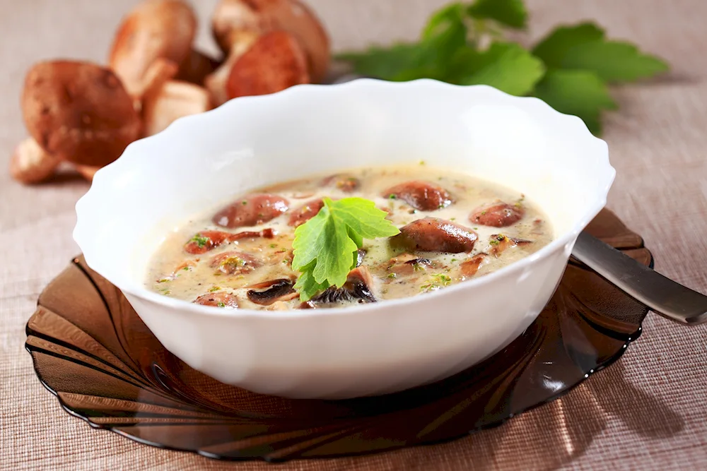 Mushroom cheese soup