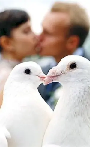 Wedding Doves