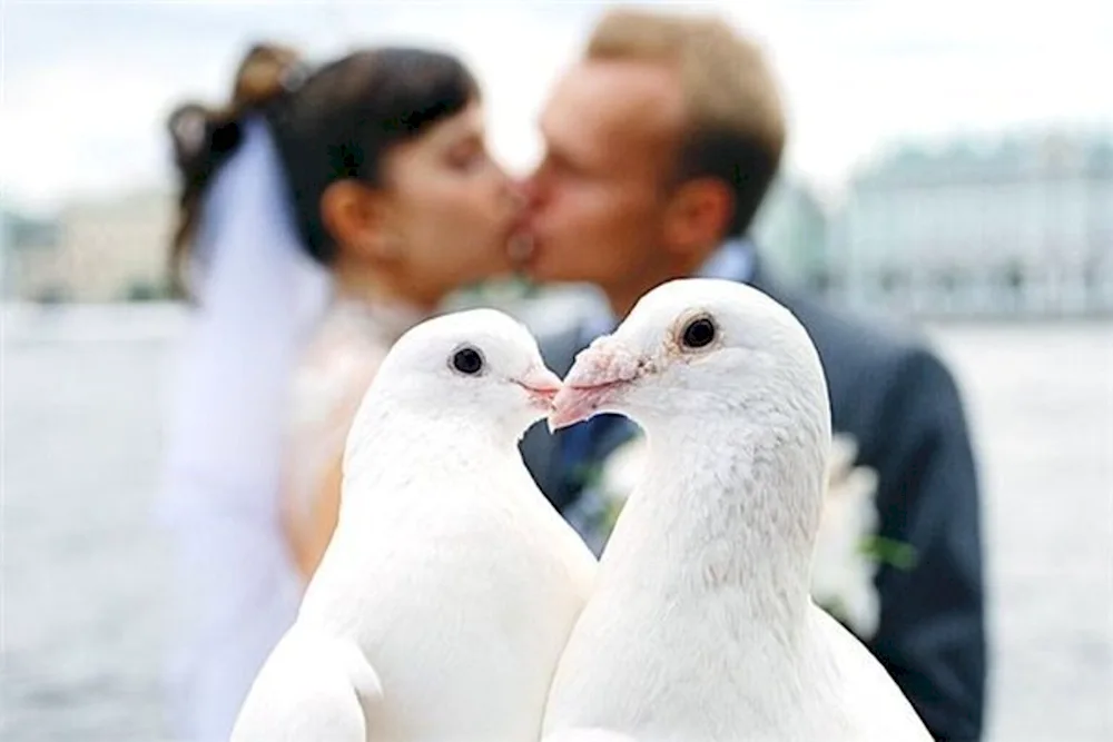 Wedding Doves