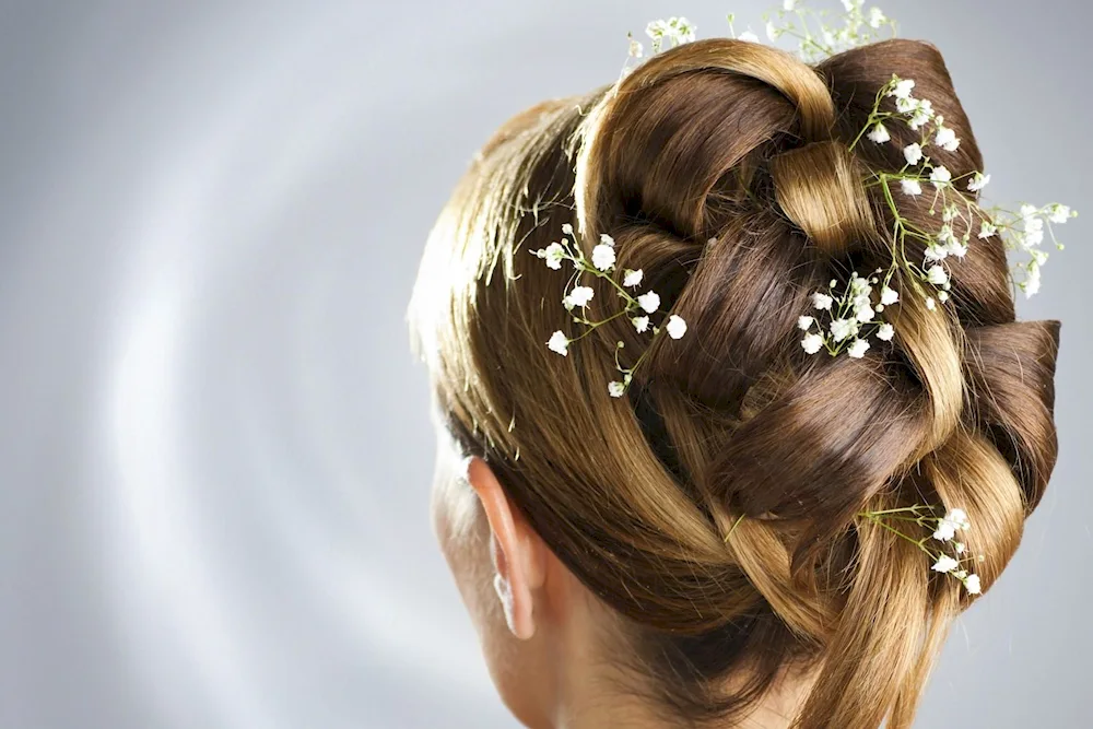 Beauty hairstyles with comb