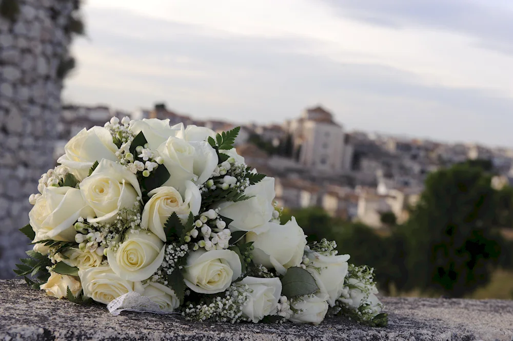 White roses