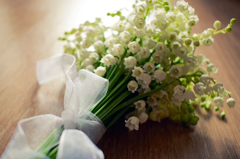 Lily of the valley