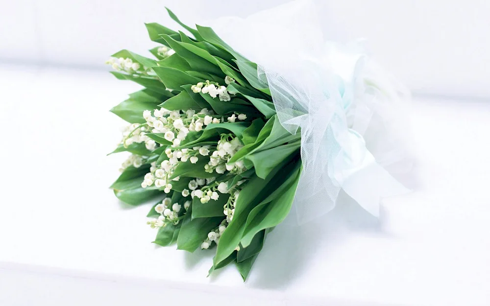 Lily of the valley