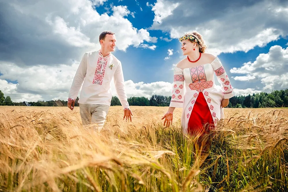 Bread fields of Krasnodar region