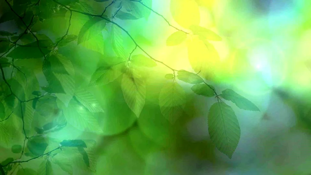 Green backgrounds for presentations