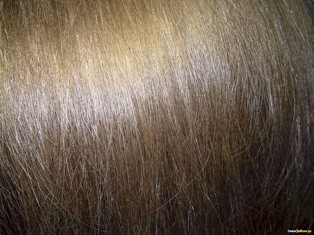 Syoss 7-. 5 Cold Gloss