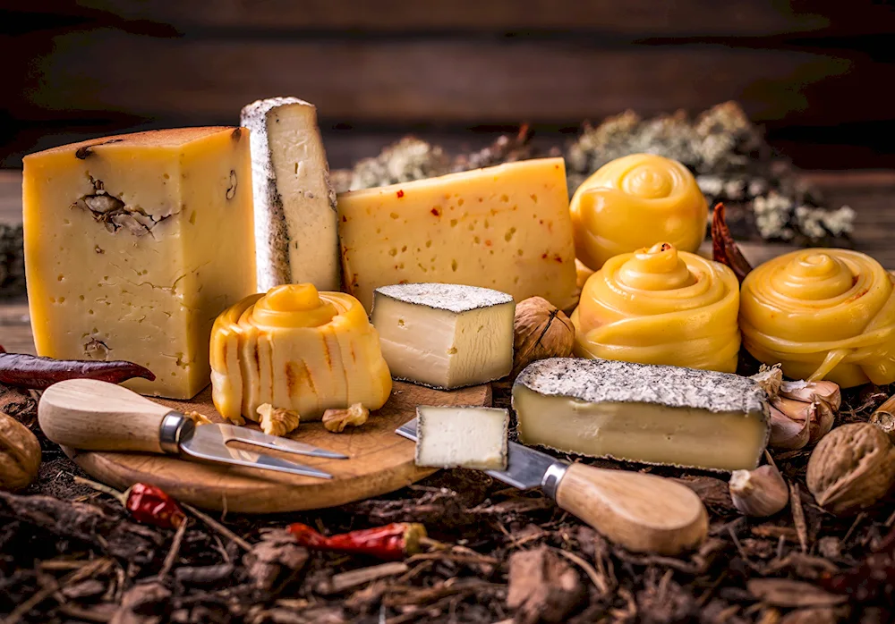 Wine and cheese