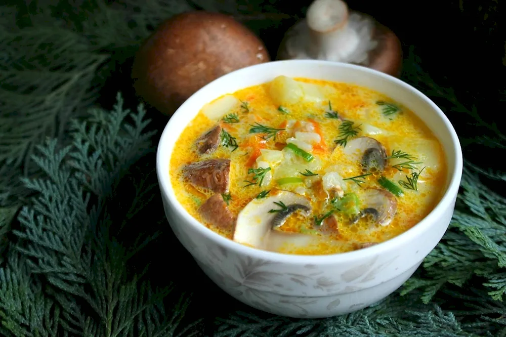 Creamy soup with mushrooms and melted cheese
