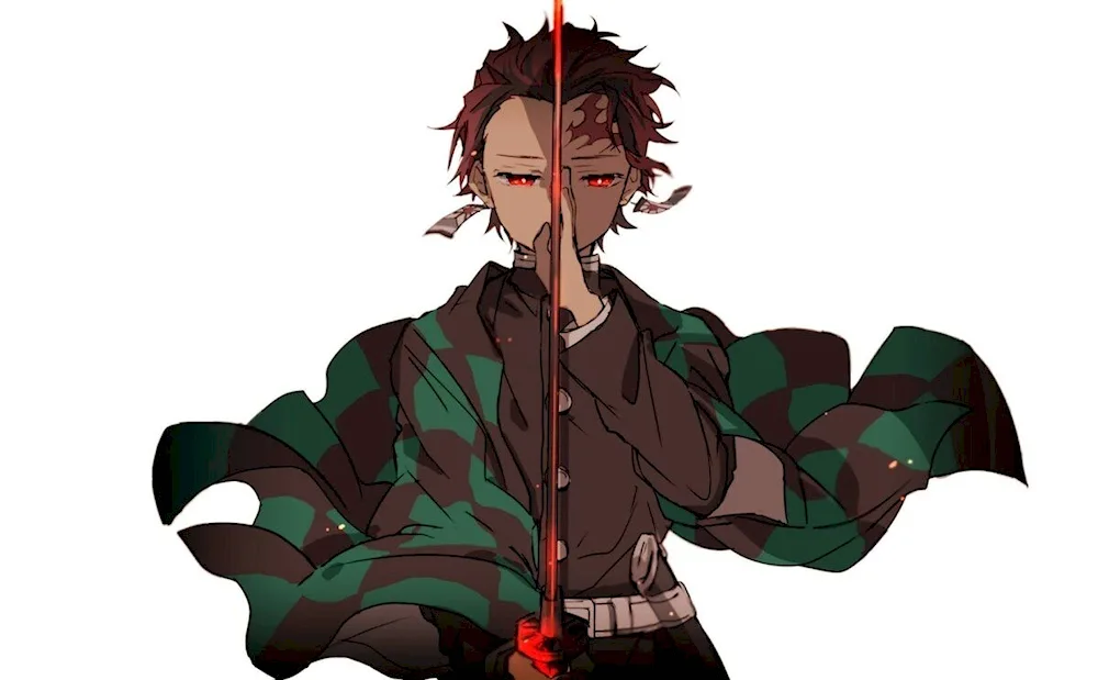 Demon Slashing Blade Tanjiro Kamado